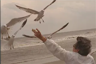 small_9400 1022 japan, familyImg0057.webp